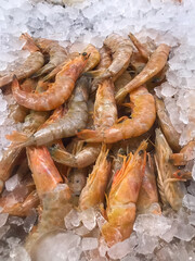 Fresh pink shrimp displayed on ice. Ideal image to illustrate seafood sales, highlighting freshness and quality. Perfect for markets, restaurants, and culinary promotions.