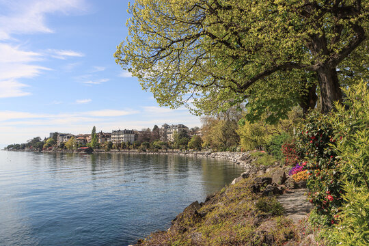 Fr&uuml;hling am Genfer See; Seepromenade in Montreux (Quai de Clarens)