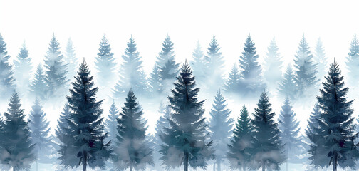 Fototapeta premium foggy spruce forest. Fir trees isolated on white background.