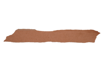 Scrap ripped brown paper isolated transparent