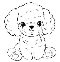 Hand drawn Line art of Cute Poodle vector illustration, kids trend print design