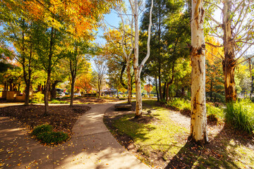 Fototapeta premium Marysville in Autumn Colours in Australia