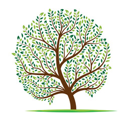 Fototapeta premium Abstract tree with roots and colorful leaves logo. Isolated on white background. Vector illustration.