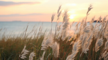 Naklejka premium Serene Sunset Amongst Whispering Sea Grass