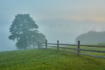 Fresh green scene of mountain farmland with old country road. Exciting summer view of Carpathian mountains, Ukraine, Europe.