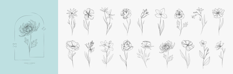 Botanic set of detailed various flowers. Luxury vintage floral collection for wedding invitation, wallpaper art or save the date card. Botanical vector © merfin