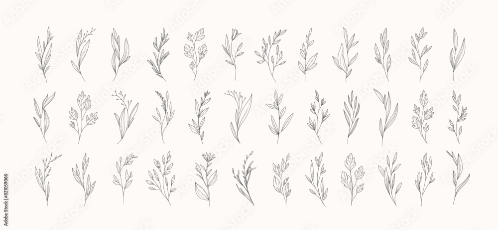 Wall mural Set of different flowers and brunch from flat editable stroke. Luxury line floral collection for wedding invitation art, design template of save the date card. Botanical vector illustration