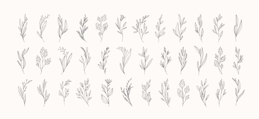 Set of different flowers and brunch from flat editable stroke. Luxury line floral collection for wedding invitation art, design template of save the date card. Botanical vector illustration