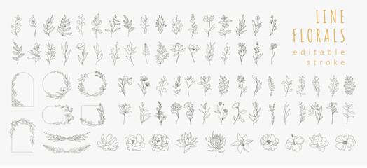 Set of different flowers, brunch and frames from flat editable stroke. Luxury line floral collection for wedding invitation art, design template. Botanical vector