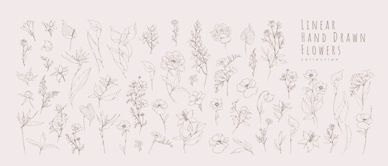 Botanic set of detailed various flowers and brunch. Luxury vintage floral collection for wedding invitation, wallpaper art or save the date card. Botanical vector illustration