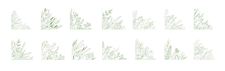 Set of floral corner, botanical decoration with flowers and branch. Hand drawn herb, homeplant with elegant leaves. Botanical rustic trendy greenery