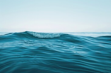 Calm Ocean Wave on a Clear Day