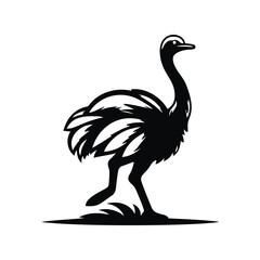 Ostrich Animal Black Silhouette Vector With White Color Background