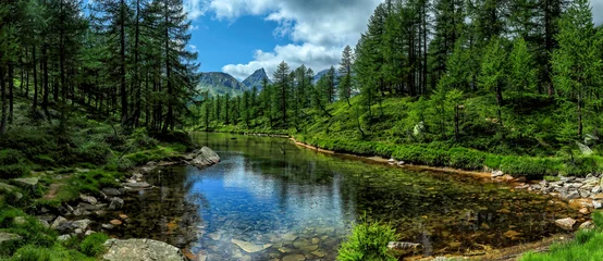 Fleecedeken met foto Forest river landscape. river in the forest © Inna