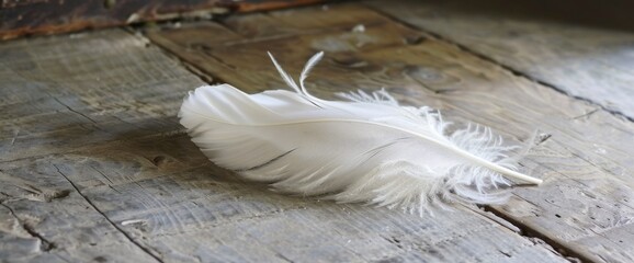 A Delicate Feather Rests On An Old, Weathered Floor, Evoking A Sense Of History And Tranquility,...
