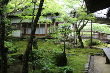 Fresh green in Jojakko-ji Temple in Kyoto, Japan