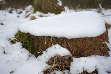 Pile of snow covered on wood log plank