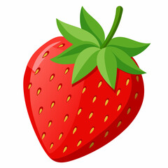 Ripe strawberry vector illustration isolated white background 