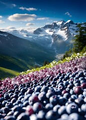 Fototapeta premium group of blueberries on a mountain road. blueberries fruit, top level view, background. blueberries with leaves