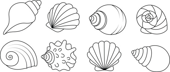 Set of seashell coloring page for kids. Summer outline doodle colouring page isolated on white background. Sea animal coloring book for kids