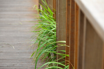 View of the green grass at the wooden fence of the bridge