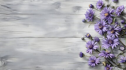 Watercolor Asters Adorning a Rustic Wooden Backdrop