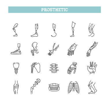 A set of line icons prosthetics in vector. Artificial limbs icons set