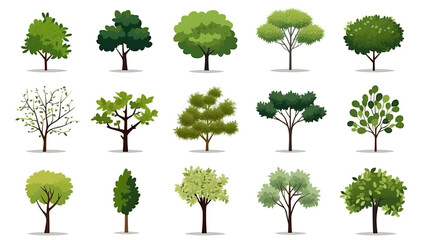 distinct tree solitary on a blank white background