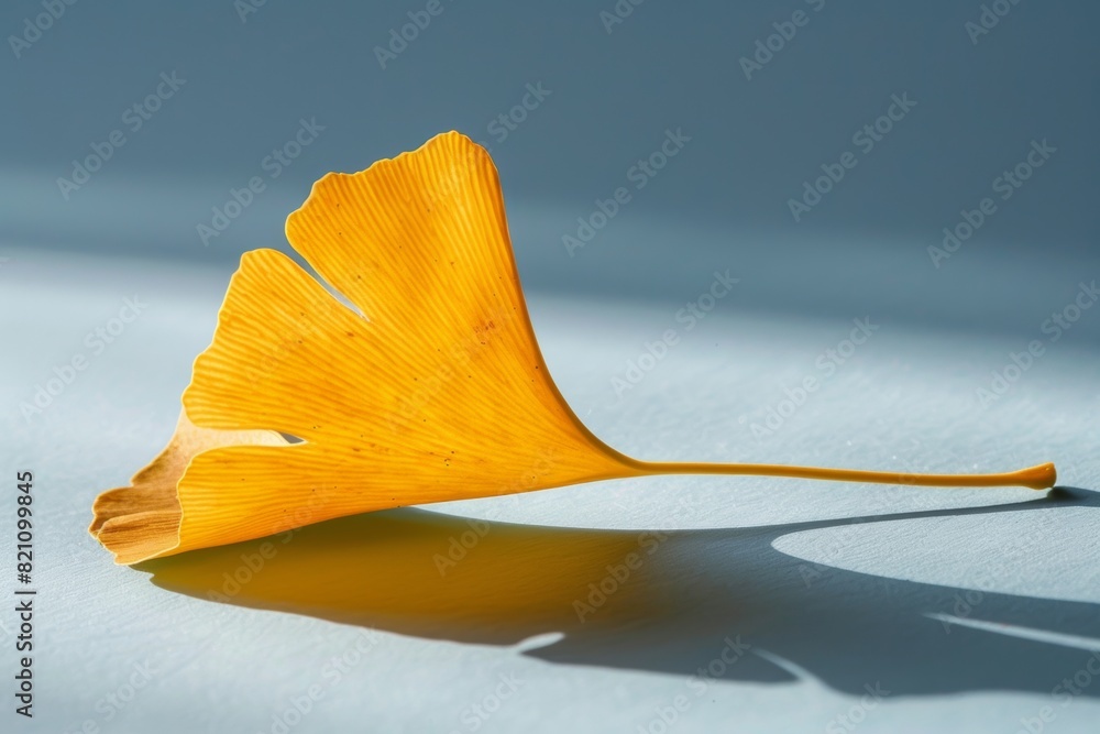 Poster golden ginkgo leaf on minimalist background with soft shadows.