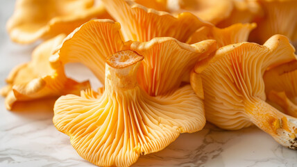 Close-up of fresh chanterelle mushrooms on a marble surface.