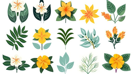 Plants with exotic blooms isolated on a white background