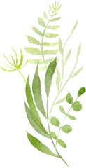 Greenery watercolor bouquet. Foliage arrangement. Watercolor decoration for your design.