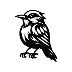 Nightingales Animal Black Silhouette Vector With White Color Background