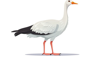 Fototapeta premium Geese isolated against a stark white background