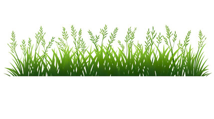 grass solitary against a blank white background