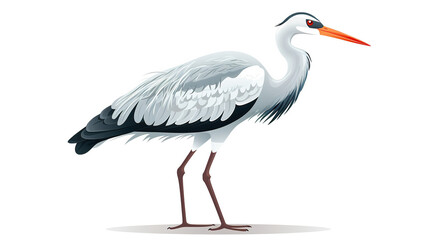 Obraz premium An isolated heron bird on a background of pristine white
