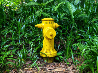 yellow fire hydrant in the garden