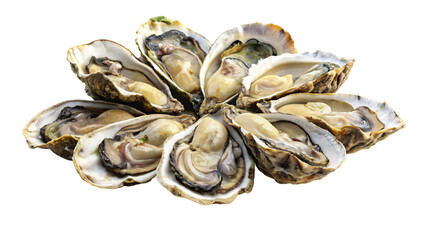 Fresh oysters on a white plate, isolated, ready for a delicious seafood appetizer