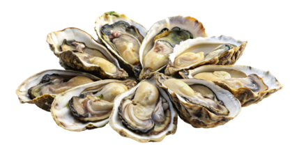 Fresh oysters on a white plate, isolated, ready for a delicious seafood appetizer