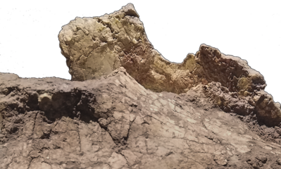 Isolated dinosaur bones