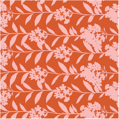 biometric, flower, pink, nature, isolated, spring, beauty, summer, daisy, plant, flowers, bloom, blossom, flora, floral, white, chrysanthemum, petal, yellow, purple, bouquet, macro, cosmos, closeup, g