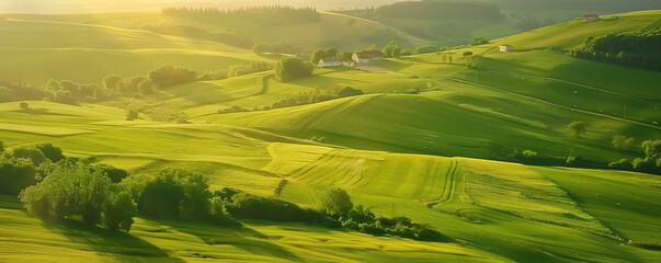 Expansive green rolling hills under soft sunlight, showcasing a serene countryside landscape.