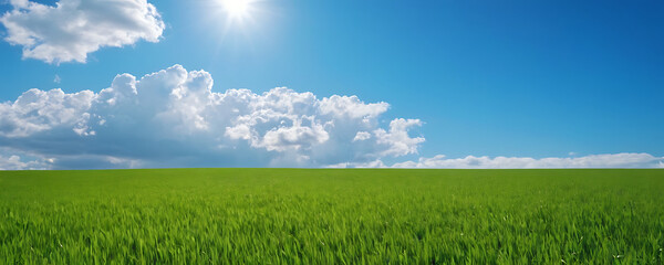 A vast, lush green field stretches towards the horizon under a bright blue sky dotted with fluffy white clouds