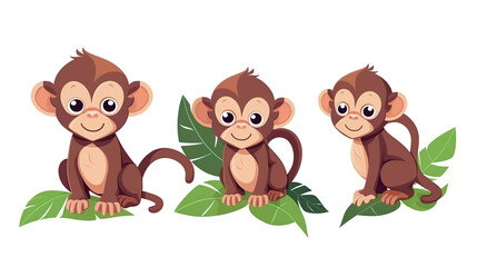 solitary monkey on a blank white background