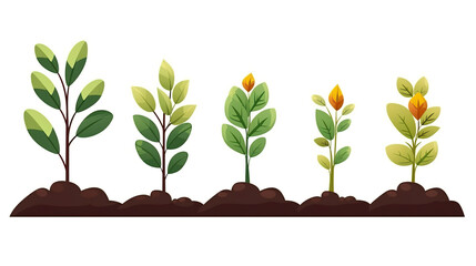 Fototapeta premium solitary plant growth on a background of pure white