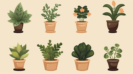 Fototapeta premium Potted plant isolated against a stark white background