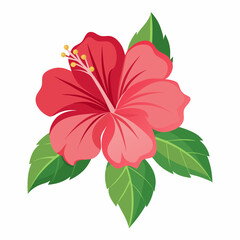 a-minimalist-hibiscus-on-a-white-background