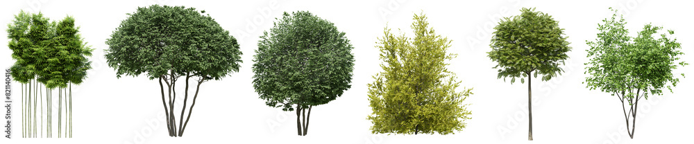 Poster collection of realistic woods trees with isolated on transparent background. png file, 3d rendering 