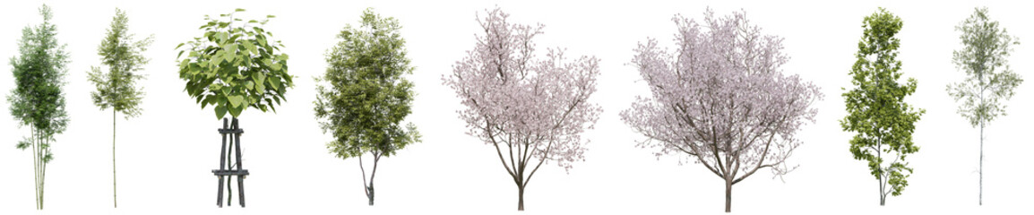 Collection of realistic woods trees with isolated on transparent background. PNG file, 3D rendering illustration, Clip art and cut out