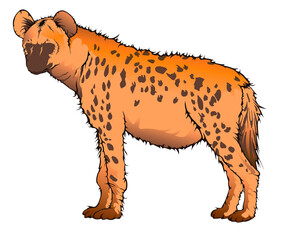 Hyena